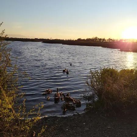 Przestrzenny W Kolobrzegu By Renters Kołobrzeg